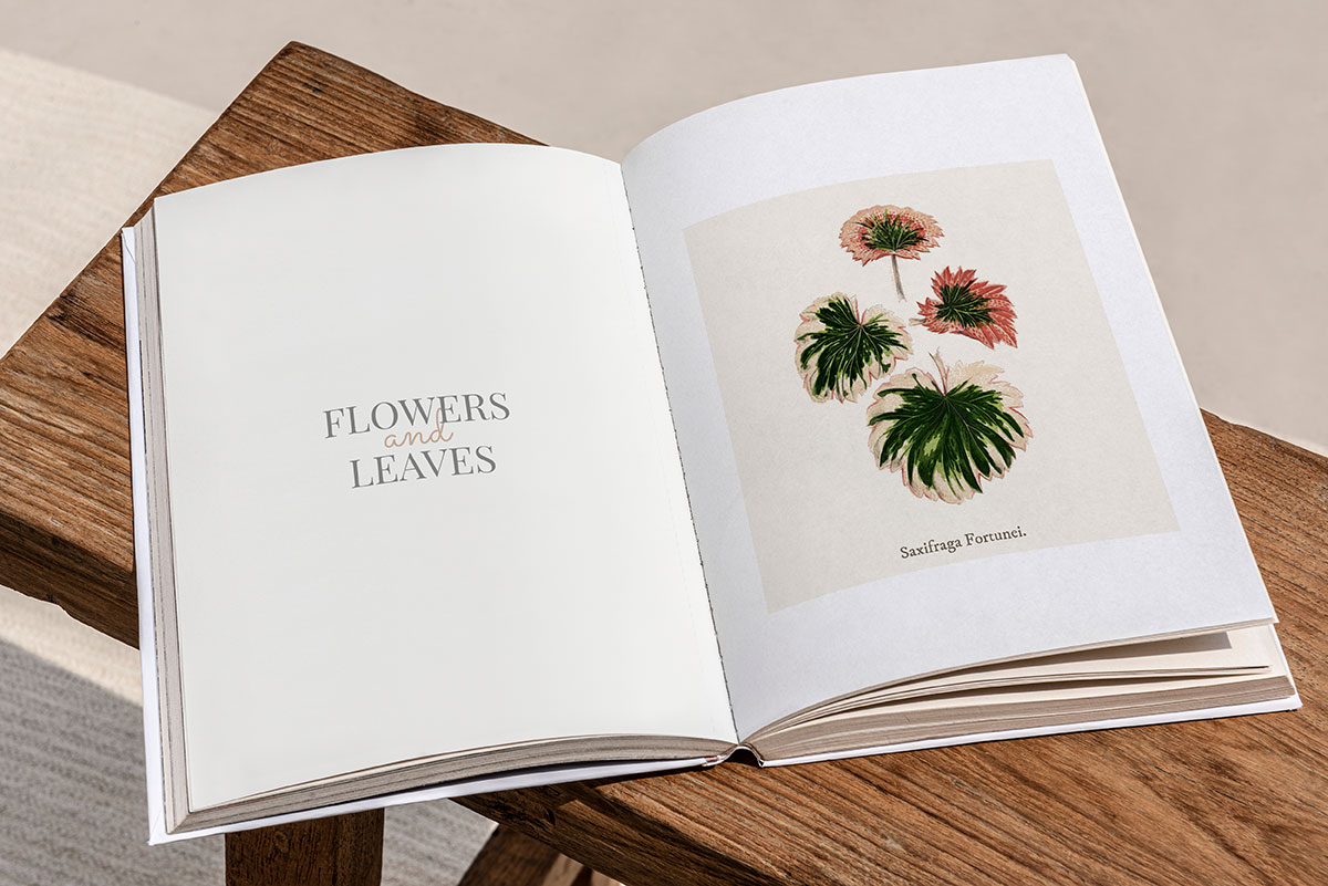 نازنین امیری